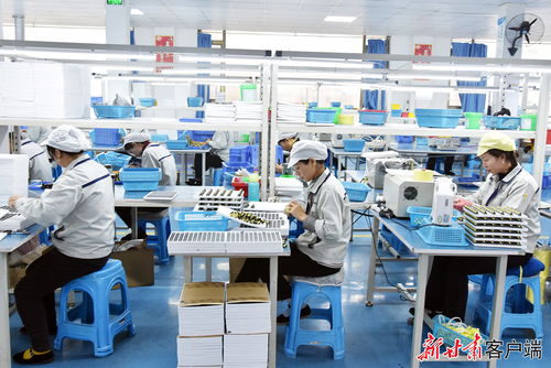 康樂 東西協(xié)作鄉(xiāng)村就業(yè)工廠節(jié)后復工生產忙